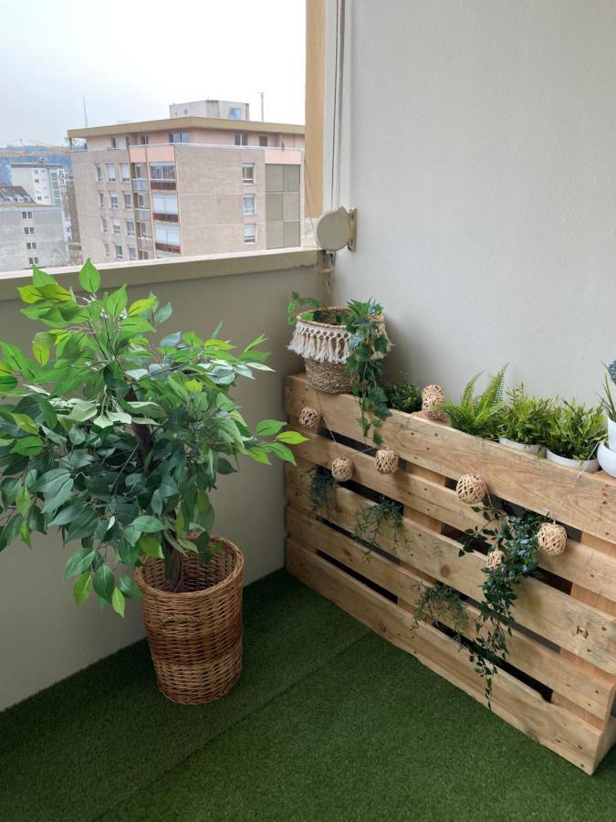 Magnifique Appartement Au Coeur De Mulhouse Exterior photo